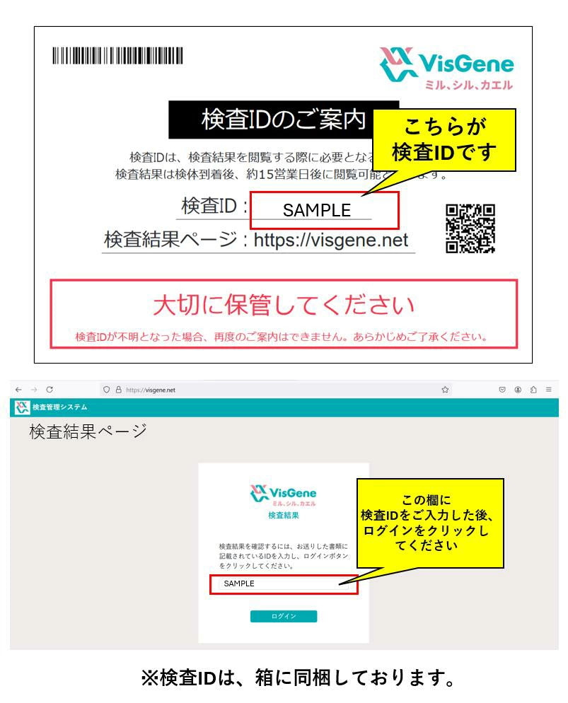 フェムテスト ラクトバチルス検査キット