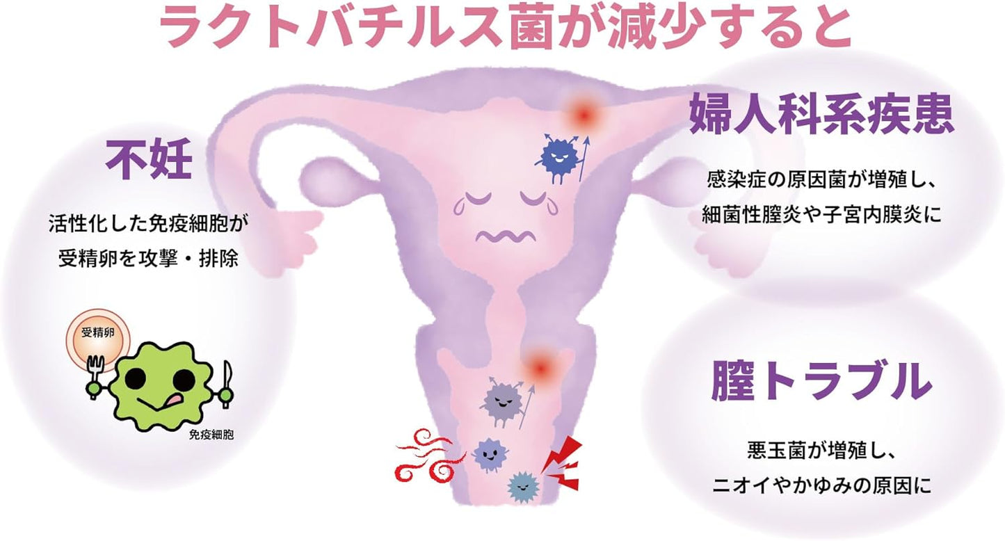 フェムテスト ラクトバチルス検査キット