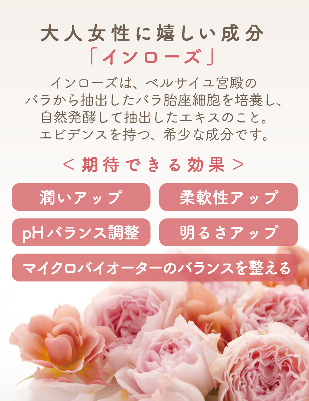 femtone デリケートウォッシュ リッチフォームAY 150mL